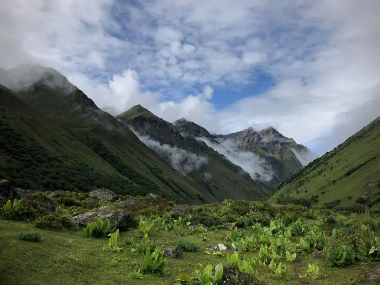 Green alpine valley below cloud-wrapped Himalayan peaks
