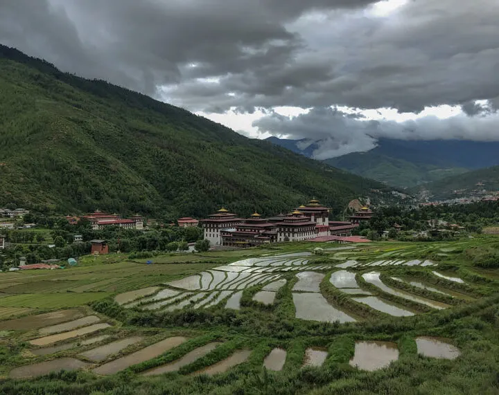 Terraced rice fields in a green Bhutanese valley
