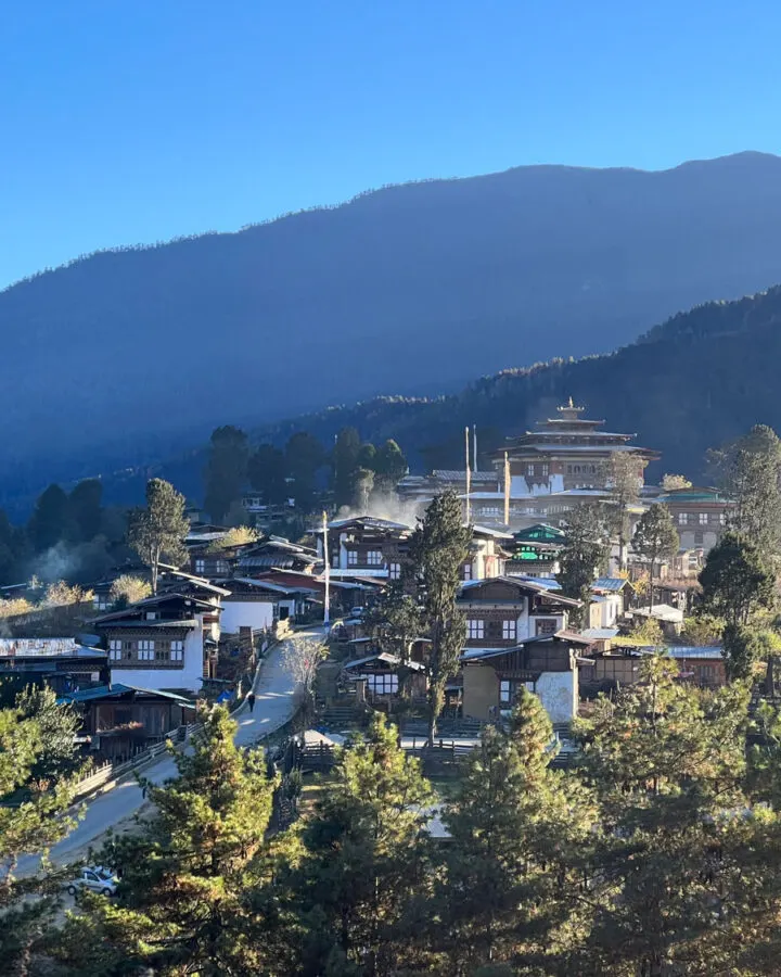 Traditional village on a pine-covered hillside in Bhutan