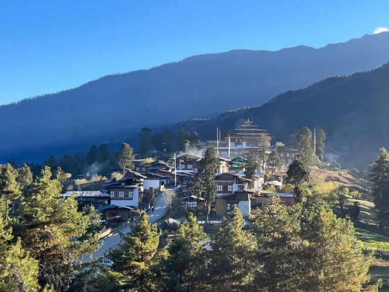 Traditional village on a pine-covered hillside in Bhutan