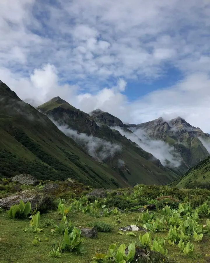 Alpine meadows and snowy peaks on a Bhutan trekking route